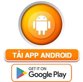app android
